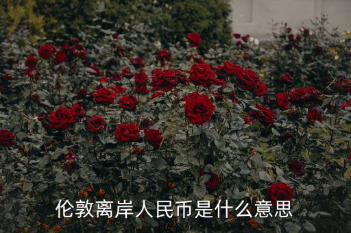 離岸人民幣是什么意思，在岸人民幣和離岸人民幣是什么意思