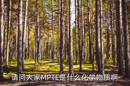 汽油的mpte是什么，汽油里MPTE是什么