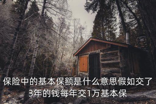 基本保額是什么意思，基本保險金額是什么意思