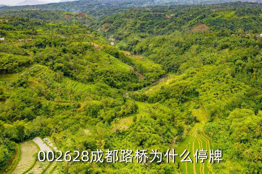 成都路橋今天什么情況，今天早成都等路橋的航班有沒有停航