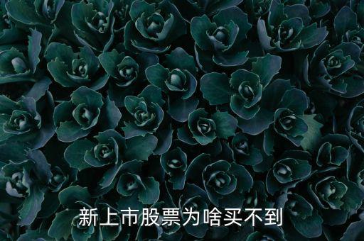 為什么新股我總買不到，新上市股票為啥買不到