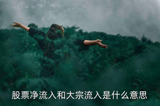 股票大宗流入是什么意思，股票凈流入額大宗流入什么意思