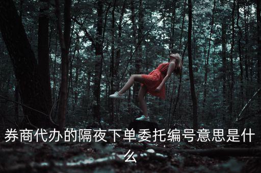 股票委托編號是什么意思，股票交易中委托編號208中208是什么意思