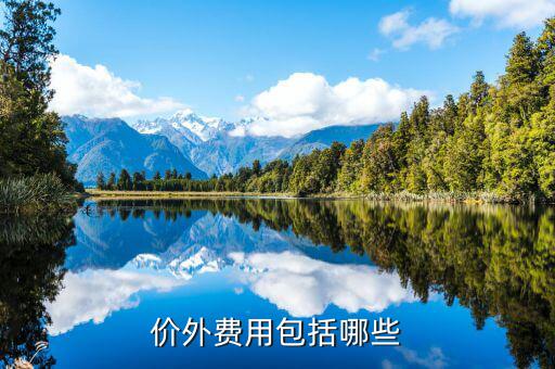 政府性基金是什么意思，何為政府性資金國(guó)有企業(yè)投資時(shí)其資本金部分算不算政府資金
