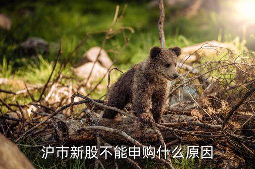 為什么滬市不能申購，我有滬股股票為什么不能申購