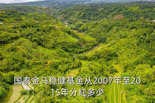 國(guó)泰金馬穩(wěn)健基金從2007年至2015年分紅多少