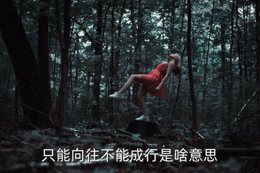 未能成行是什么意思，只能向往不能成行是啥意思