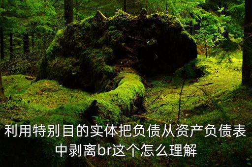 債務(wù)剝離是什么意思，上市公司債務(wù)剝離是怎么回事剝離就是不用還了嗎
