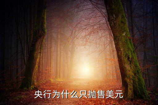 中國(guó)為什么拋售美債，中國(guó)為什么要減持美債