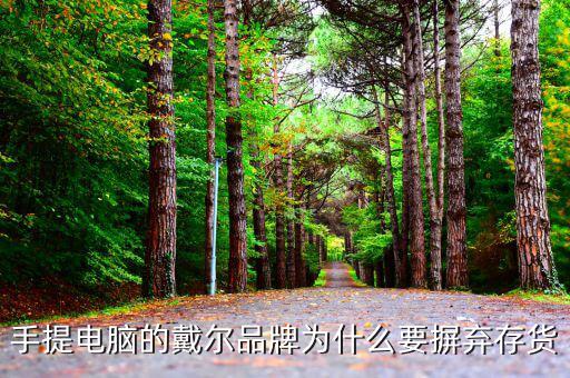 戴爾用信息代替庫存的后果是什么，我的筆記本電腦是DELL的前幾天買的人家二手貨他把系統(tǒng)的信
