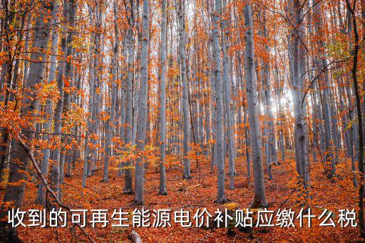 收到的可再生能源電價補(bǔ)貼應(yīng)繳什么稅