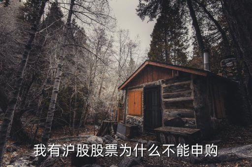 為什么我不能申購滬市新股，我有滬股股票為什么不能申購