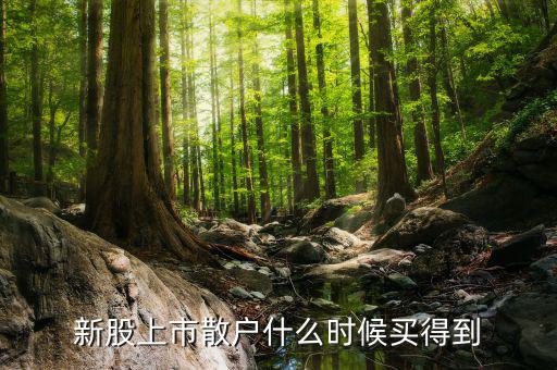 散戶什么時候才能買到新股，新股上市散戶什么時候買得到