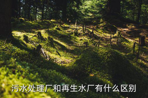 什么是再生水廠，污水處理廠和再生水廠有什么區(qū)別