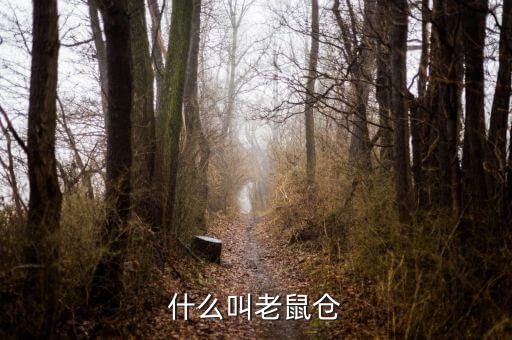 什么是老鼠倉圖形，股票中什么是老鼠倉呢簡明即可