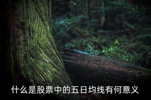 5日均線有什么用，什么是股票中的五日均線有何意義