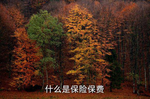 什么是保單保費(fèi)，什么是保險保費(fèi)