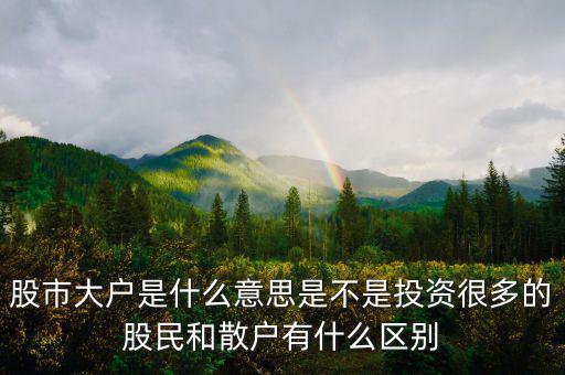 炒股大戶是什么意思，股票中的大戶是什么意思