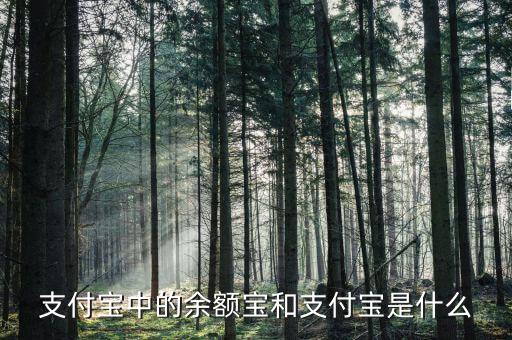 余額寶和支付寶是什么意思，支付寶里的余額寶是什么意思