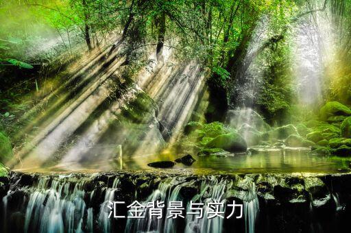 江蘇匯金控股什么背景，匯金公司是怎么回事