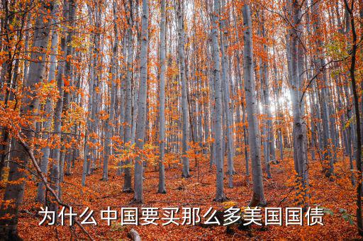 為什么要買美國國債，為什么要買那么多美國國債