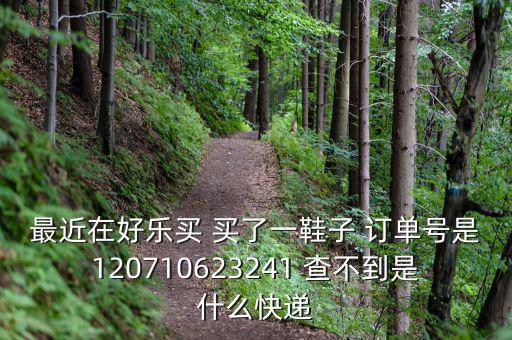 好樂(lè)買發(fā)什么快遞，我在好樂(lè)買用網(wǎng)銀付款買了雙鞋子請(qǐng)問(wèn)他們都用什么快遞發(fā)貨