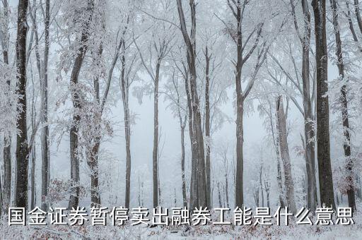 暫停融券是什么意思，國金證券暫停賣出融券工能是什么意思