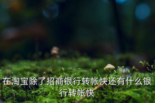 什么銀行網(wǎng)上轉(zhuǎn)賬最慢，在淘寶除了招商銀行轉(zhuǎn)帳快還有什么銀行轉(zhuǎn)帳快