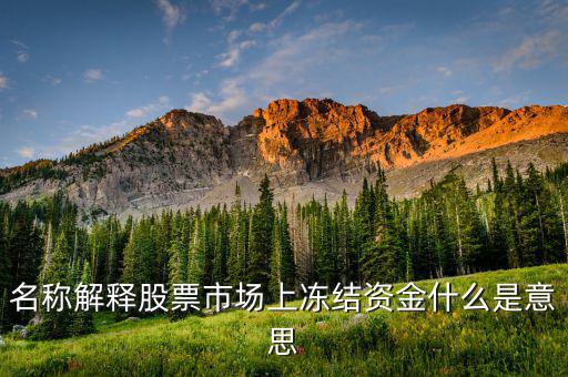 股票交易資金凍結什么意思，名稱解釋股票市場上凍結資金什么是意思