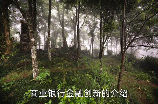 什么是金融創(chuàng)新，商業(yè)銀行金融創(chuàng)新的介紹