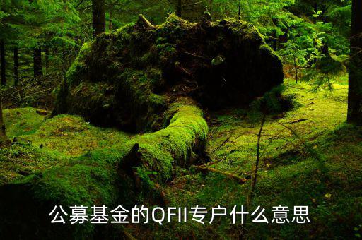公募專(zhuān)戶是什么意思，什么是基金專(zhuān)戶