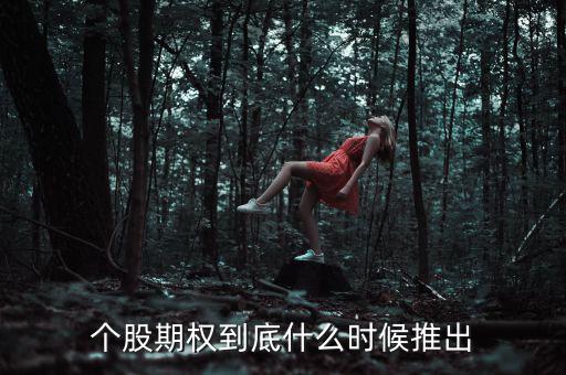 什么時候推出個股期權，股票期權什么時間開始