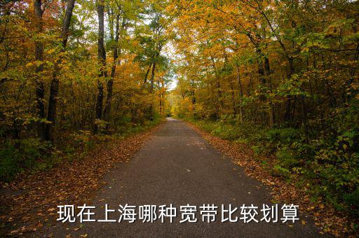 現在上海哪種寬帶比較劃算