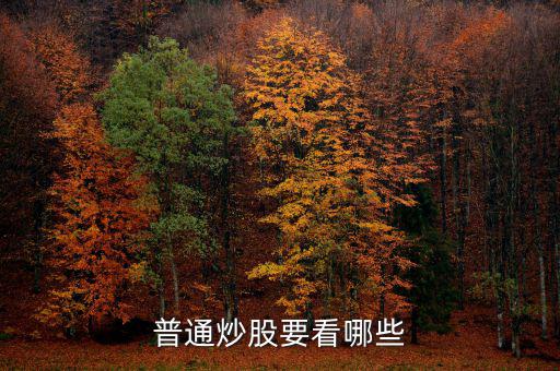炒股每天都看什么，炒股究竟看什么怎么看