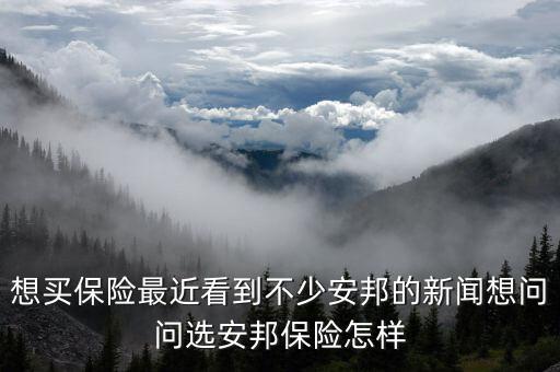 想買(mǎi)保險(xiǎn)最近看到不少安邦的新聞想問(wèn)問(wèn)選安邦保險(xiǎn)怎樣