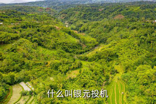 什么叫貨幣投機(jī)，什么是投機(jī)性的貨幣需求