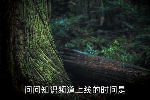 愛網(wǎng)貸平臺(tái)什么時(shí)候上線，問問知識(shí)頻道上線的時(shí)間是