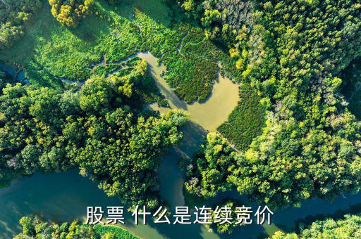 股票連續(xù)競價是什么意思，股票 什么是連續(xù)競價