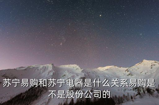成志明蘇寧電器什么關(guān)系，誰(shuí)能告訴四川蘇寧有限公司與蘇寧電器是什么關(guān)系