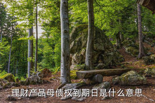訂單債權(quán)到期什么意思，什么叫第三方到期債權(quán)