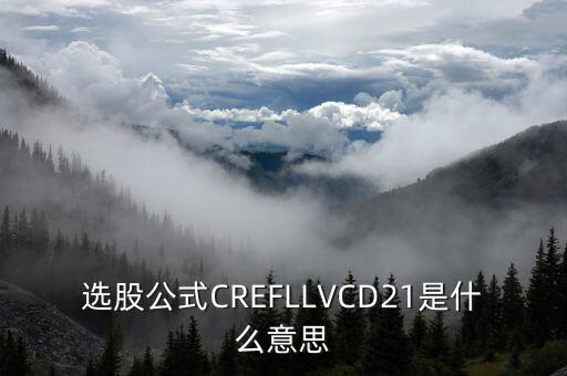 股票里的D2什么意思，選股公式CREFLLVCD21是什么意思