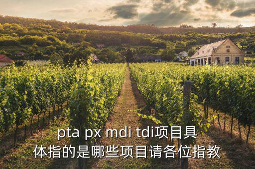 pta px mdi tdi項(xiàng)目具體指的是哪些項(xiàng)目請(qǐng)各位指教