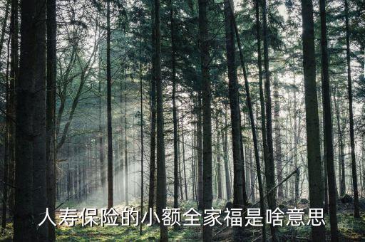 人壽全家福是什么意思，人壽保險的小額全家福是啥意思