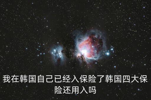 韓國四大保險(xiǎn)是什么險(xiǎn)，韓國一月扣十萬韓幣是什么保險(xiǎn)