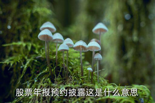 股票披露是什么意思，股票年報(bào)預(yù)約披露這是什么意思