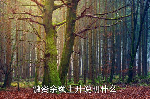 濰柴融資額度很高說明什么，融資余額上升說明什么