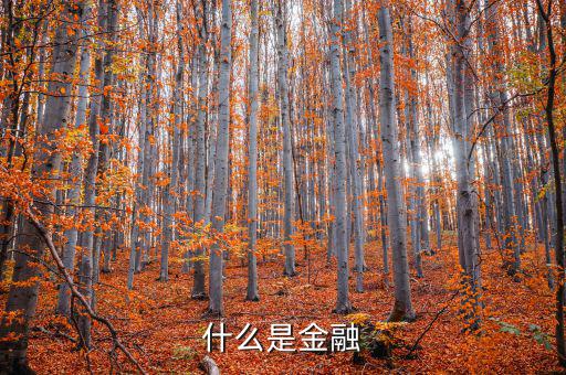 金融是什么，什么是金融