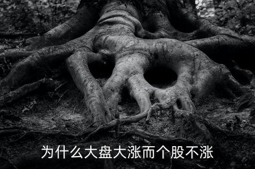 板塊都漲我的個(gè)股不長(zhǎng)什么原因，為什么大盤(pán)大漲而個(gè)股不漲