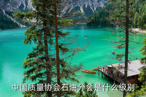 中質(zhì)協(xié)獎(jiǎng)屬于什么級別，國藝杯屬于什么級別的獎(jiǎng)項(xiàng)