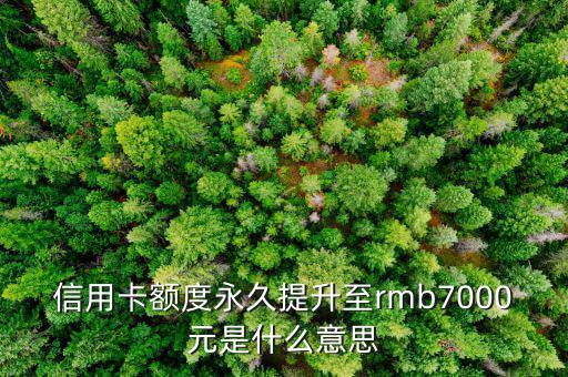 信用卡永久額度是什么意思，信用卡額度永久提升至rmb7000元是什么意思